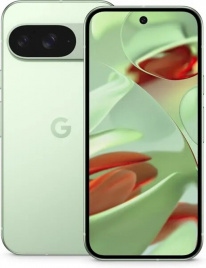 Google Pixel 9 12/256Gb (Wintergreen)